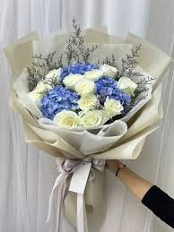 Coastal Breeze Hydrangea